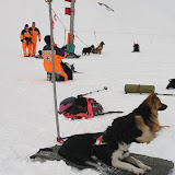 Rettungshunde Nuertingen - Ausbildungstage Gstaad 2007