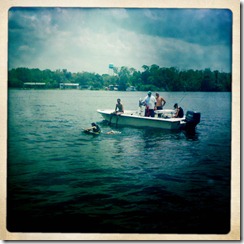 iphone pics 113