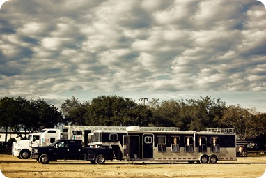 horsesandtrailor2
