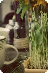 IMG_0245 copy