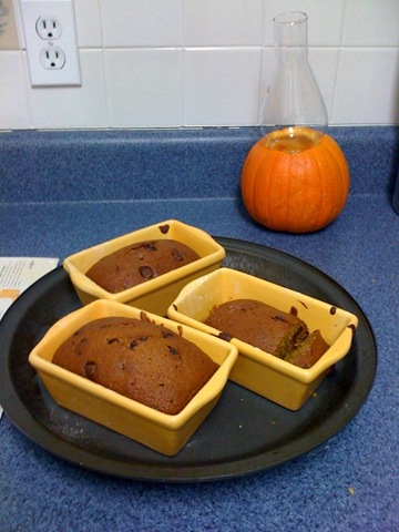 [pumpkin2[4].jpg]