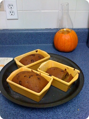 pumpkin2