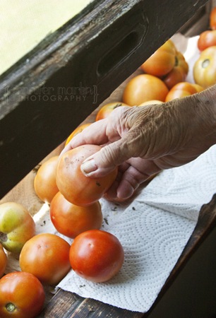 gma6 gma6