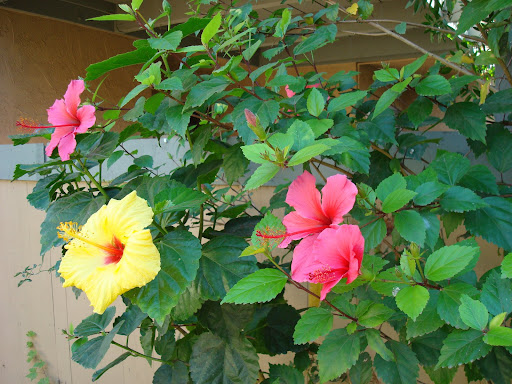 millwright training jobs that needs no qualifications in gauteng