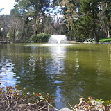 CIMG0453.JPG