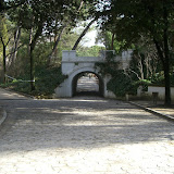 CIMG0462.JPG