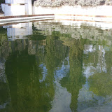 CIMG0463.JPG