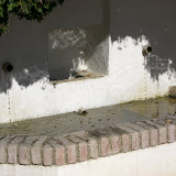 CIMG0464.JPG