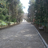 CIMG0470.JPG