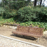 CIMG0447.JPG