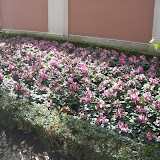 CIMG0475.JPG