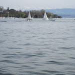 IMG_0907.JPG