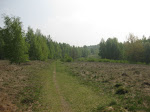 http://lh6.ggpht.com/_Q-b3D5rJSGo/S-b3LEYXf4I/AAAAAAAADF0/LaZZnYyL5_I/NamecheSclaigneaux%20021.jpg