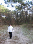 http://lh6.ggpht.com/_Q-b3D5rJSGo/S1LRpntVyxI/AAAAAAAAByQ/H9ADjR-HMNo/Hardelot%20%28237%29.jpg