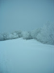 http://lh6.ggpht.com/_Q-b3D5rJSGo/S1Lwa5sAWSI/AAAAAAAAB38/qLlEt4BRCyc/Vosges2010%20%28146%29.jpg