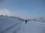 http://lh6.ggpht.com/_Q-b3D5rJSGo/S1LwlitFN_I/AAAAAAAAB4c/Zgxg_SZdU1o/Vosges2010%20019.jpg