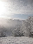 http://lh6.ggpht.com/_Q-b3D5rJSGo/S1LycSKyJGI/AAAAAAAAB9M/syHZwpe2rDI/Vosges2010%20147.jpg