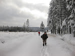 http://lh6.ggpht.com/_Q-b3D5rJSGo/S2naVdiHV5I/AAAAAAAACYQ/L1XRjfmGWYI/FagnesMutzenich%20049.jpg