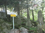 http://lh6.ggpht.com/_Q-b3D5rJSGo/S_0AOlF6tXI/AAAAAAAADSw/kWswaED4-GA/VosgesMai2010%20305.jpg