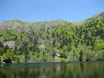 http://lh6.ggpht.com/_Q-b3D5rJSGo/S_z_S7F6yTI/AAAAAAAADRU/MZF87dP_6Io/VosgesMai2010%20255.jpg