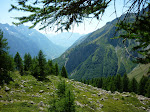 http://lh6.ggpht.com/_Q-b3D5rJSGo/StHk6nGuYyI/AAAAAAAAANE/9T185uOdgc8/P1000127.JPG