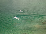 http://lh6.ggpht.com/_Q-b3D5rJSGo/StHkfyJtOCI/AAAAAAAAAMI/bsxu8Tmq2KE/IMG_4018.jpg