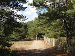 http://lh6.ggpht.com/_Q-b3D5rJSGo/SwvB4yMLy4I/AAAAAAAAAv0/SgzzvQ5IoEg/CampineLommel%20016.jpg