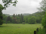 http://lh6.ggpht.com/_Q-b3D5rJSGo/TAOgtacxgfI/AAAAAAAADdQ/QgK2NWzphtg/Riviere%20025.jpg