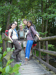http://lh6.ggpht.com/_Q-b3D5rJSGo/TCeaLu-MmzI/AAAAAAAADsQ/bsUN154-QzE/P1040168.JPG
