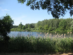 http://lh6.ggpht.com/_Q-b3D5rJSGo/TDQq2vbHfqI/AAAAAAAADuM/xdgJWKZ0XCc/CondeLEscaut%20014.jpg
