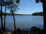http://lh6.ggpht.com/_Q-b3D5rJSGo/TEQ4-VnQSdI/AAAAAAAAD4Q/Y66ySsyd5u0/LesMazures%20004.jpg