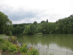 http://lh6.ggpht.com/_Q-b3D5rJSGo/TFcKcPKmjYI/AAAAAAAAEBw/8WHk4cG27F0/VeloSoignes%20023.jpg