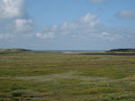 http://lh6.ggpht.com/_Q-b3D5rJSGo/TI3d_FxMOII/AAAAAAAAELA/Y8N8tdwEIWg/ZouteCadzand%20079.jpg