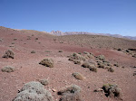 http://lh6.ggpht.com/_Q-b3D5rJSGo/TNb1N6AUX8I/AAAAAAAAEts/KeHNjl0lqPU/MarocBest%20%28409%29.JPG