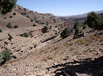 http://lh6.ggpht.com/_Q-b3D5rJSGo/TNb1oWC-nBI/AAAAAAAAEuc/HkFtPkSdVWs/MarocBest%20%28421%29.JPG