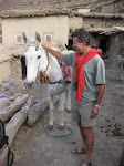 http://lh6.ggpht.com/_Q-b3D5rJSGo/TNb2YiDNbnI/AAAAAAAAEv4/f1EUZLLx94c/MarocBest%20%28442%29.JPG