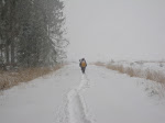 http://lh6.ggpht.com/_Q-b3D5rJSGo/TP6BBbgOadI/AAAAAAAAFBk/wGrOxFC6EYE/Stoumont%20026.jpg