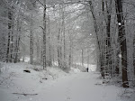 http://lh6.ggpht.com/_Q-b3D5rJSGo/TPvsJGwSPKI/AAAAAAAAE_I/CgetvVFqbCU/P1040593.JPG