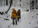 http://lh6.ggpht.com/_Q-b3D5rJSGo/TPvsJh5oAOI/AAAAAAAAE_M/4MubJVZ7qWk/P1040594.JPG