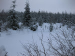 http://lh6.ggpht.com/_Q-b3D5rJSGo/TRhe2lnHnYI/AAAAAAAAFLs/cM59oSdJk0o/LosheimergrabenSkideFond%20065.jpg