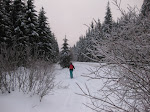 http://lh6.ggpht.com/_Q-b3D5rJSGo/TRhe61s60AI/AAAAAAAAFL0/W6HM3pCU9vo/LosheimergrabenSkideFond%20068.jpg