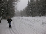 http://lh6.ggpht.com/_Q-b3D5rJSGo/TRheJNAF3bI/AAAAAAAAFKU/ghOivHRrrZo/LosheimergrabenSkideFond%20011.jpg