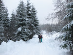 http://lh6.ggpht.com/_Q-b3D5rJSGo/TRhepyGSTSI/AAAAAAAAFLU/fj6oT0tCWn4/LosheimergrabenSkideFond%20057.jpg