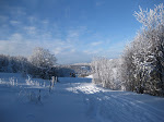 http://lh6.ggpht.com/_Q-b3D5rJSGo/TUqu4sbVFDI/AAAAAAAAFXc/mAMUuLS4MWg/Vosges2011%20010.JPG