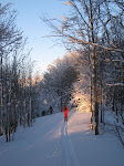 http://lh6.ggpht.com/_Q-b3D5rJSGo/TUqvOBETYwI/AAAAAAAAFYQ/cyq-cP07NzM/Vosges2011%20032.JPG
