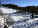 http://lh6.ggpht.com/_Q-b3D5rJSGo/TVZF6TOu_OI/AAAAAAAAFbA/ThdSV-6zcSw/Vosges2011_01_Piste_LaChaume.jpg