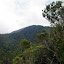 Looking toward the summit