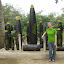 Old US shells
