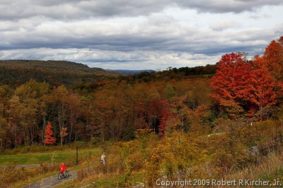 20091023 Firewood-0021