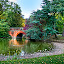 Cannon Hill Park, Birmingham, UK by Martin Thomas - Landscape & Nature Waterscapes